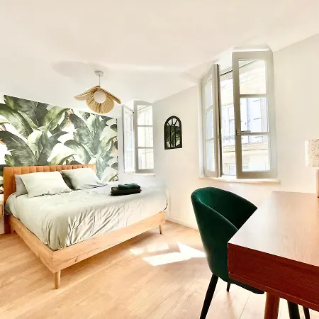 Apartament - Hyper-centre - En Duplex Ou Triplex - Wifi Fibre - Nouveau Niort